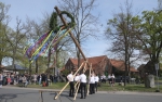 Maibaum aufstellen