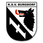 Kreiskönigsball